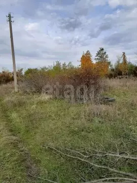 Участок в Ростовская область, Азовский район, Новоалександровское ...