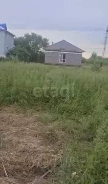 Участок в Амурская область, Благовещенск Сосновая ул., 5/3 (8.84 сот.)