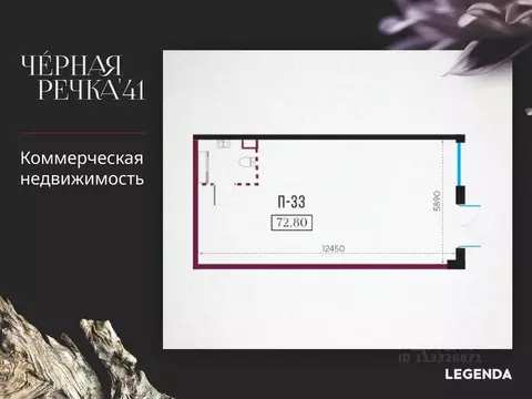 Помещение свободного назначения в Санкт-Петербург наб. Черной речки, ...