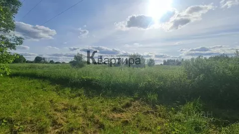 Участок в Смоленская область, Смоленский муниципальный округ, ...