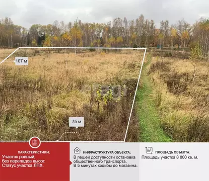 Участок в Брянская область, Выгоничский район, Хмелевское с/пос, пос. ...