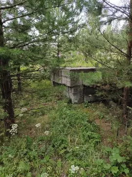 Участок в Свердловская область, Горноуральский городской округ, пос. ...