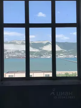 Студия Краснодарский край, Новороссийск ул. Мира, 20 (36.0 м)