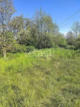 Участок в Калининградская область, Гурьевский муниципальный округ, ...