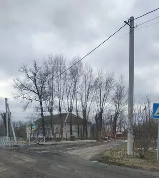 Участок в Воронежская область, Новоусманский район, Усманское 1-е ...