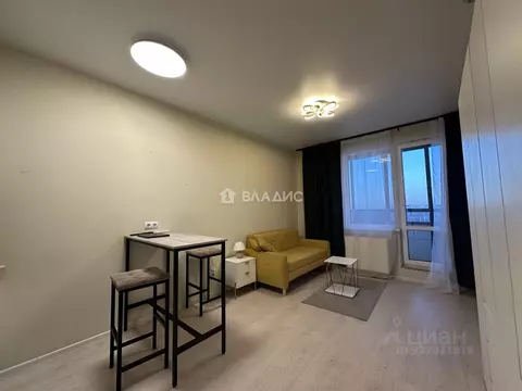 Студия Санкт-Петербург наб. Реки Каменки, 15к1 (22.6 м)