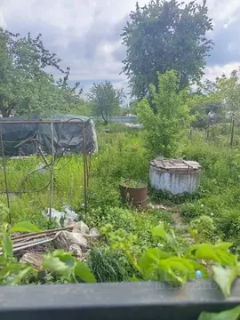 Участок в Калининградская область, Калининград 40 лет Победы СНТ, ул. ...