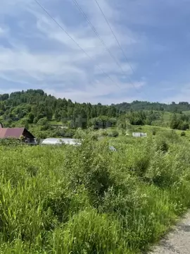 Дом в Алтай, Горно-Алтайск Иолго СНТ, 23 (40 м)