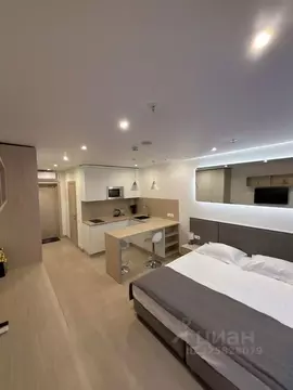 Студия Санкт-Петербург Социалистическая ул., 21 (27.0 м)