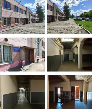 Помещение свободного назначения в Новосибирская область, Новосибирск ...