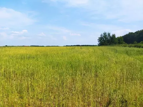 Участок в Тульская область, Ясногорский район, Теляковское с/пос, д. ...