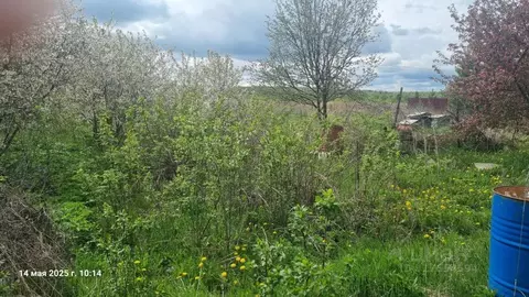 Участок в Владимирская область, Собинский муниципальный округ, д. ...