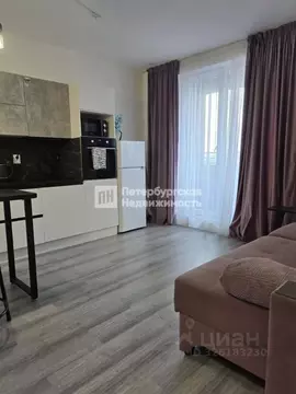 Студия Санкт-Петербург пос. Парголово, ул. Новокузнецкая, 8 (25.0 м)