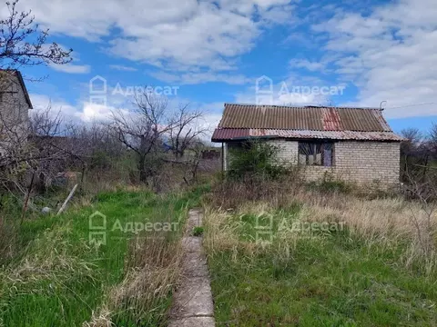 Дом в Волгоградская область, Волгоград Восход СНТ,  (43 м)