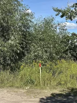 Участок в Калининградская область, Светловский городской округ, пос. ...