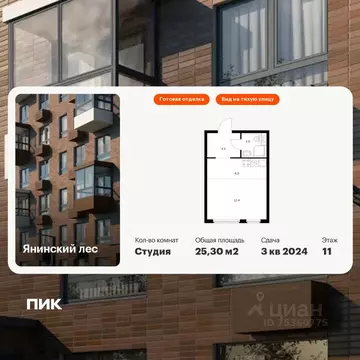 Студия Ленинградская область, Всеволожский район, Заневское городское ...