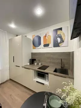 Студия Калининградская область, Зеленоградск ул. Удачная, 6 (16.0 м)