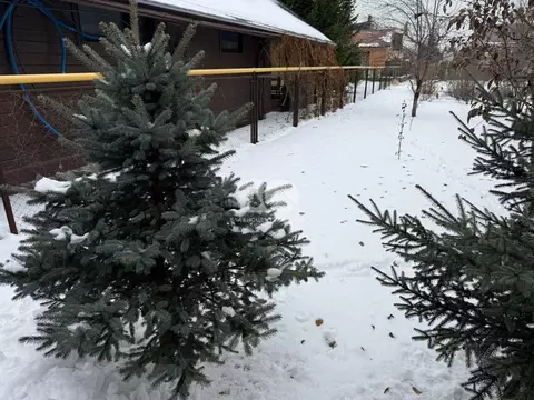 Участок в Новосибирская область, Новосибирский район, пос. ...
