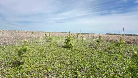 Участок в Тюменская область, Тобольский муниципальный округ, ...