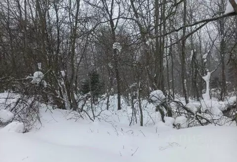 Участок в Московская область, Дмитровский муниципальный округ, д. ...