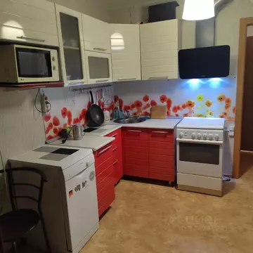 Студия Красноярский край, Красноярск ул. Карамзина, 6 (26.0 м)