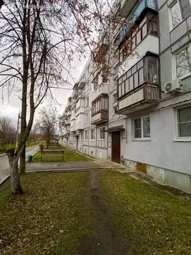 1-комнатная квартира: Смолино, улица Энтузиастов, 11 (30.9 м)