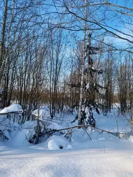 Участок в Московская область, Павлово-Посадский городской округ, д. ...