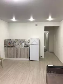 Студия Новосибирская область, Новосибирск ул. Фадеева, 66/9 (30.4 м)