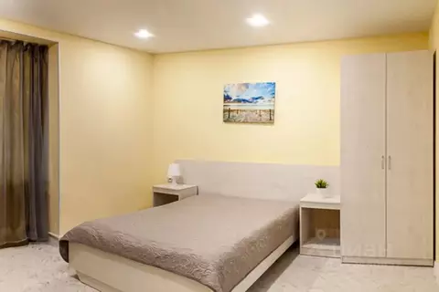 Студия Курганская область, Курган ул. Савельева, 58 (20.0 м)