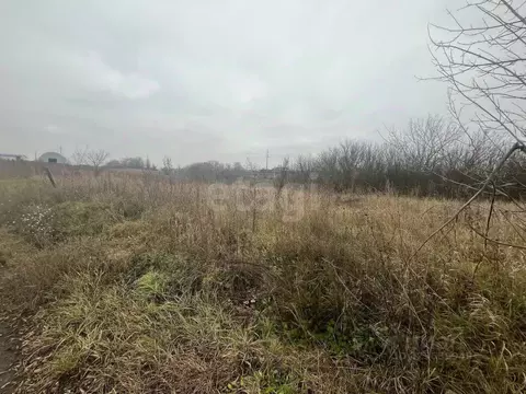 Участок в Белгородская область, Белгородский район, с. Стрелецкое, с. ...