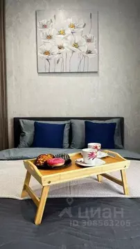 1-к кв. Нижегородская область, Нижний Новгород просп. Гагарина, 36к5 ...