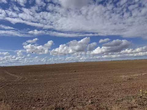 Участок в Крым, Сакский район, с. Уютное ул. Полевая (229.25 сот.)