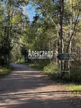 Участок в Ленинградская область, Приозерский район, Красноозерное ...