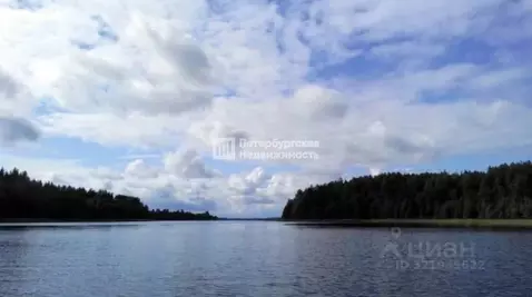 Участок в Ленинградская область, Лужский район, Осьминское с/пос, д. ...