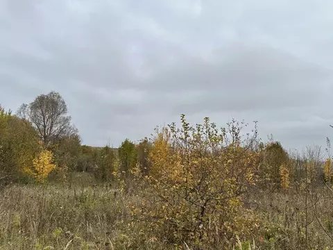 Участок в Московская область, Серебряные Пруды муниципальный округ, д. ...