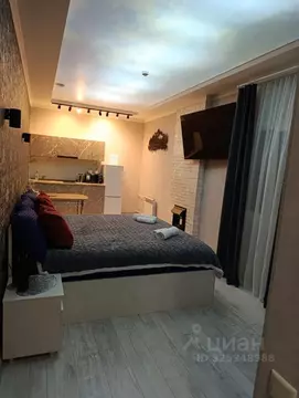 1-к кв. Самарская область, Самара Самарская ул., 95А (20.0 м)