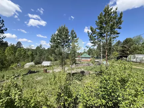 Участок в Иркутская область, Иркутский муниципальный округ, Флора СНТ ...