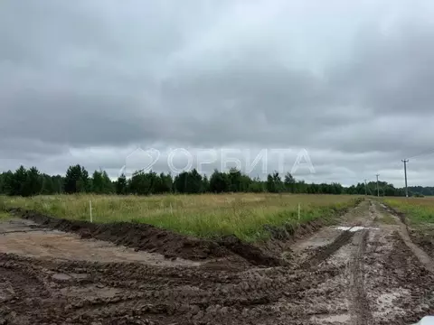 Участок в Тюменская область, Тюменский район, с. Успенка ул. ...