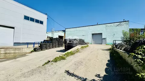 Склад в Новосибирская область, Новосибирск ул. Петухова, 27/9 (277 м)