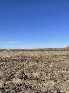 Участок в Челябинская область, Сосновский муниципальный округ, пос. ...