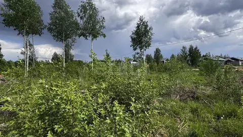 Участок в Пермский край, Добрянский муниципальный округ, д. Городище ...