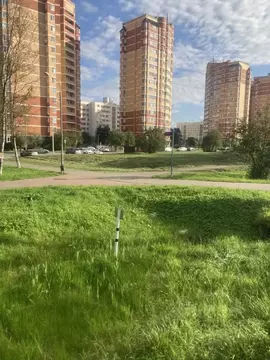 Студия Москва Киевский рп, 22А (25.0 м)