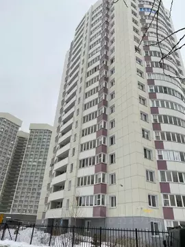 1-к кв. Пермский край, Пермь ул. Чернышевского, 17Д (31.0 м)