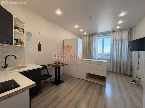 Квартира-студия: Хотьково, Загорская улица, 1Ак2 (23 м)