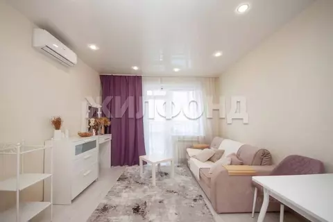 1-к кв. Новосибирская область, Новосибирск ул. Костычева, 36 (26.4 м)