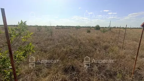 Участок в Волгоградская область, Волгоград ул. Жасминовая (10.82 сот.)