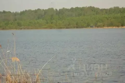 Участок в Псковская область, Плюсский муниципальный округ, д. Ктины  ...