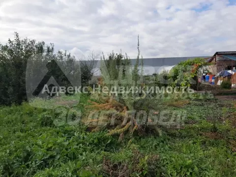 Участок в Тюменская область, Тюмень Казарово мкр, ул. 1-я Новая, 91 ...