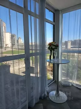 Студия Псковская область, Псков Ольгинская наб., 5А (42.0 м)