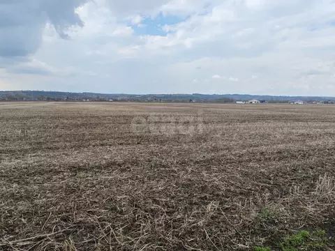 Участок в Курская область, Курский район, Лебяженский сельсовет, с. ...